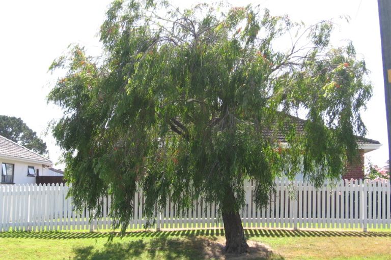 Photo of property in 7 Pinewood Street, Avondale, Auckland, 0600