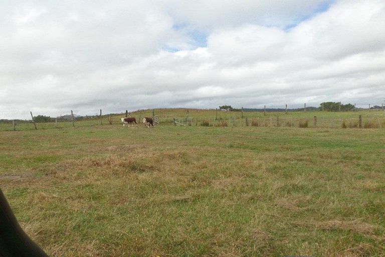 Photo of property in 132b Gatfield Road, Kaukapakapa, 0873