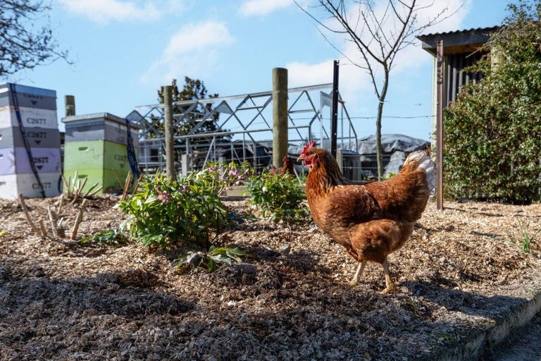 Photo of property in 77 Lichfield Road, Lichfield, Putaruru, 3482