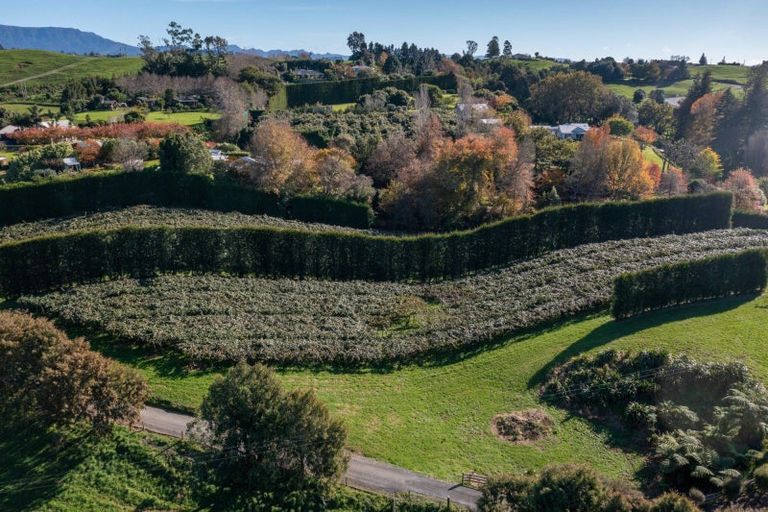 Photo of property in 394 Old Highway, Whakamarama, 3180