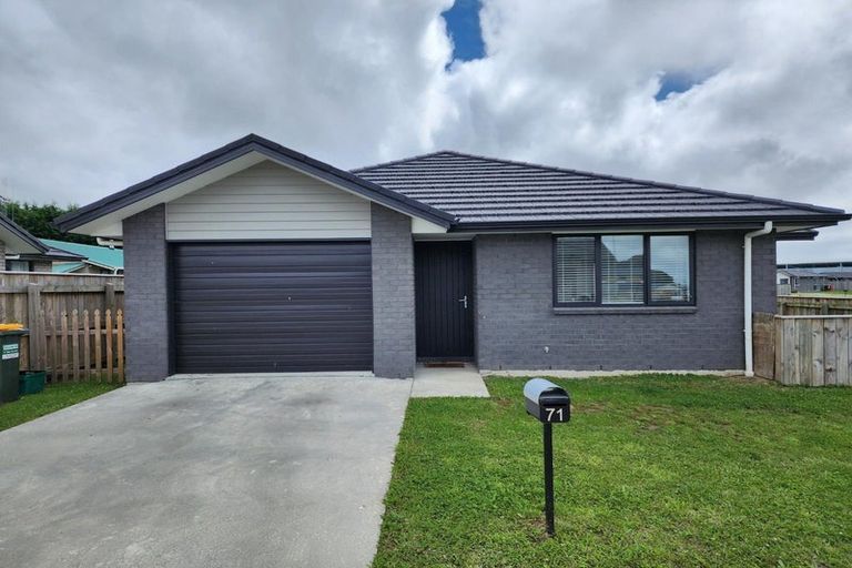 Photo of property in 71 Hinemoa Street, Levin, 5510