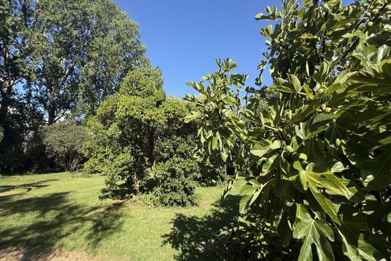 Photo of property in 290 Paihia Road, Kawakawa, 0282