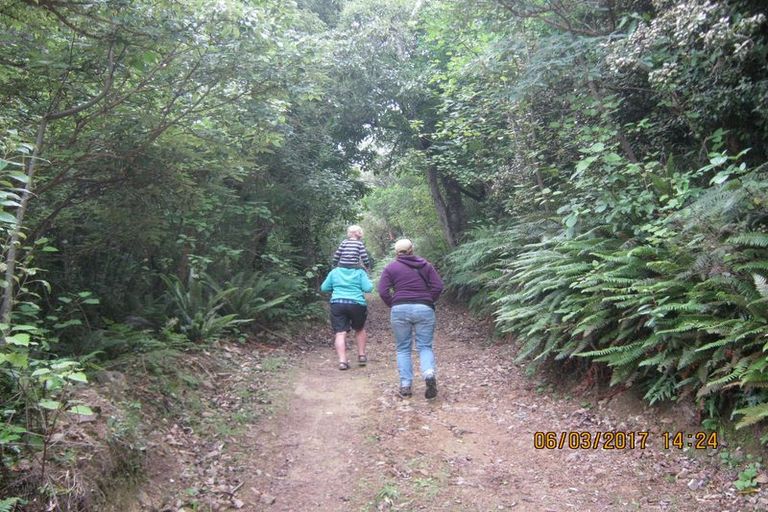 Photo of property in 26 Lookout Drive, Little Valley, Alexandra, 9320