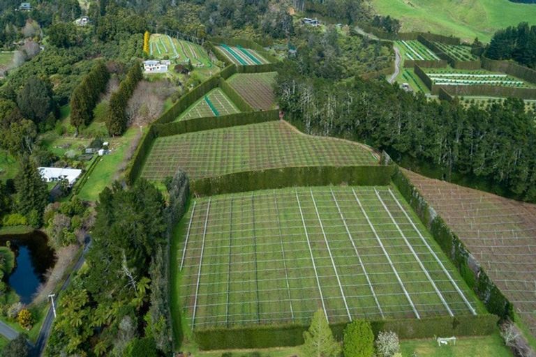 Photo of property in 29 I'anson Road, Minden, 3179