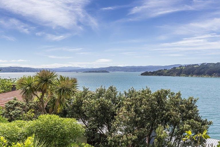 Photo of property in 75 Grafton Road, Roseneath, Wellington, 6011