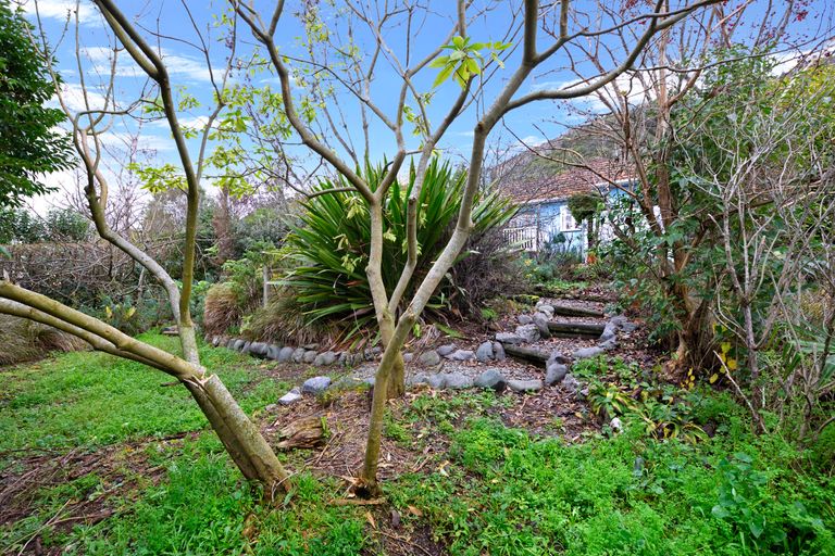 Photo of property in 54 Campbell Street, Nelson South, Nelson, 7010