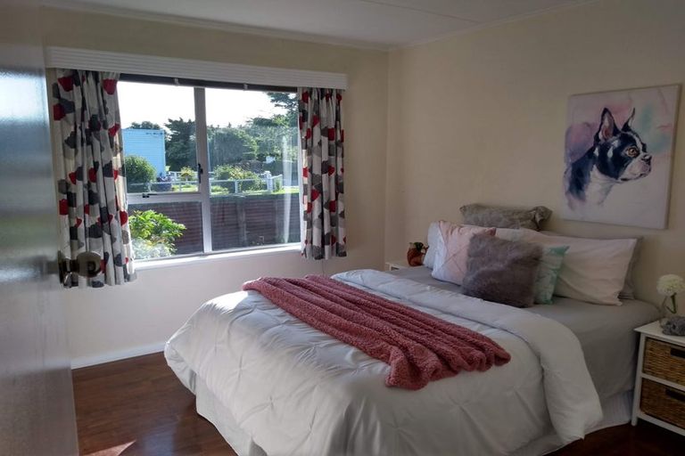 Photo of property in 156 Tiro Tiro Road, Levin, 5510