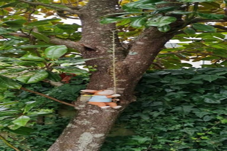 Photo of property in 2 Myers Grove, Churton Park, Wellington, 6037