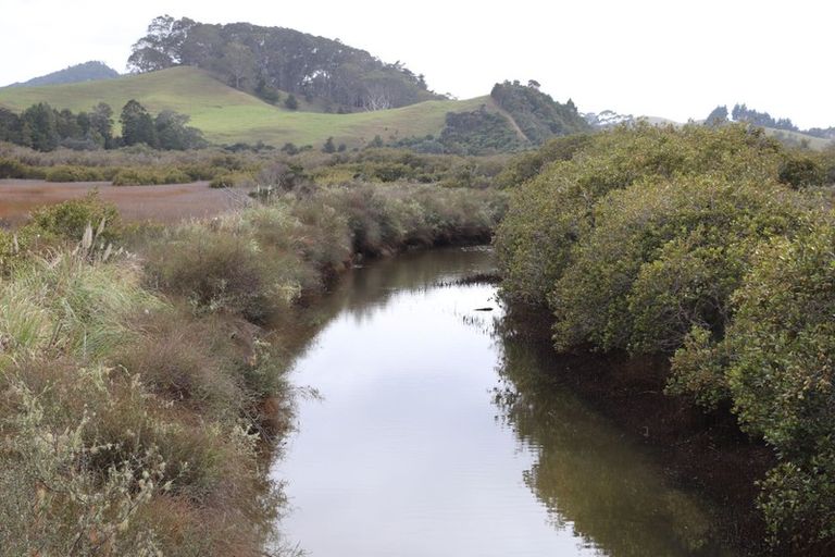 Photo of property in 356 Hailes Road, Whananaki, Hikurangi, 0181