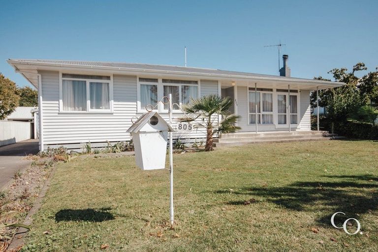 Photo of property in 805 Ferguson Street, Akina, Hastings, 4122