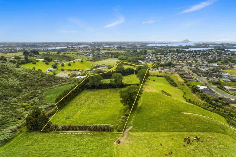 Photo of property in 24 Eagle Street, Welcome Bay, Tauranga, 3112