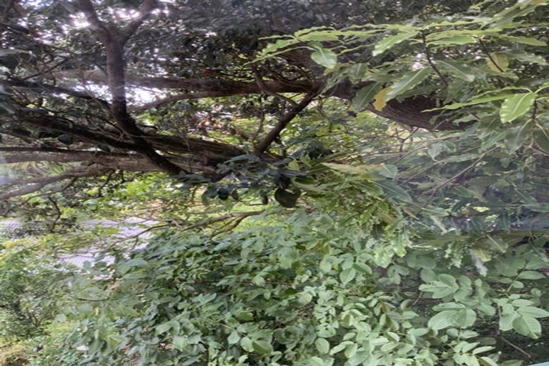 Photo of property in 145a Aro Street, Aro Valley, Wellington, 6021