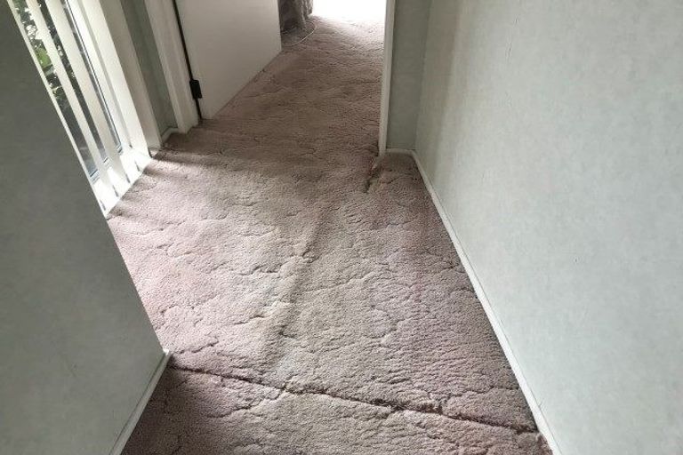 Photo of property in 10 Camellia Place, Greerton, Tauranga, 3112