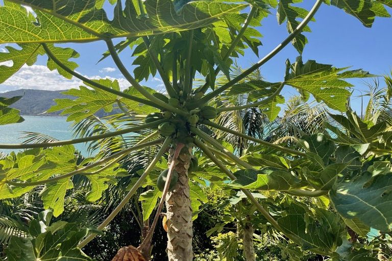 Photo of property in 12c Kent Street, Whangaroa, Kaeo, 0478