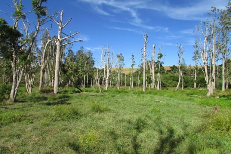 Photo of property in 58 Riddell Road, Waerenga, Te Kauwhata, 3781