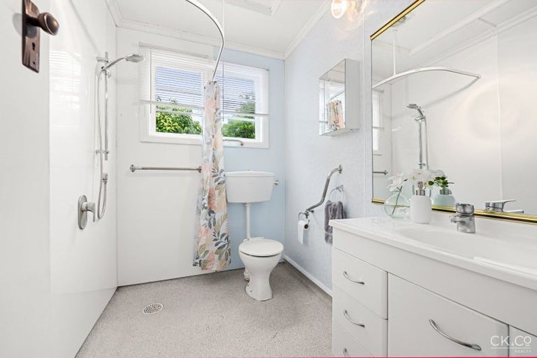 Photo of property in 11 Black Beech Street, Birchville, Upper Hutt, 5018