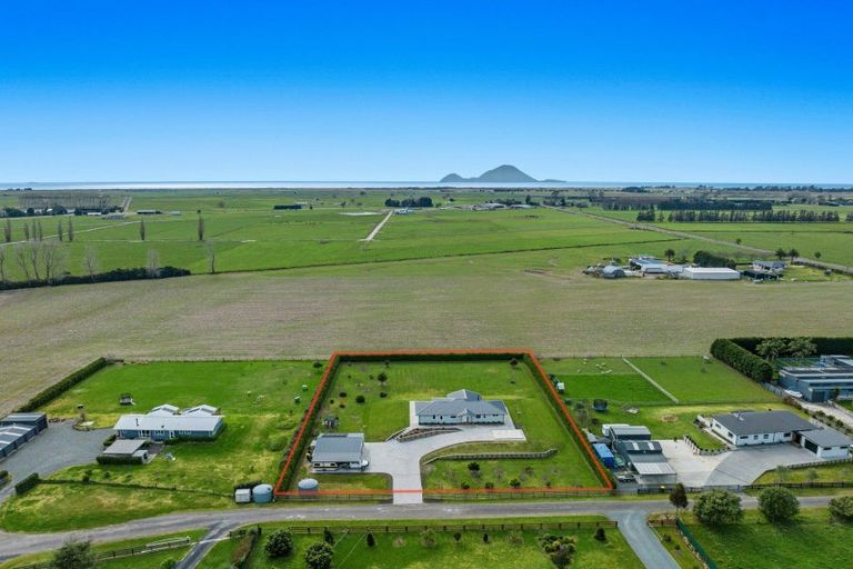 Photo of property in 122f Powdrell Road, Thornton, Whakatane, 3193
