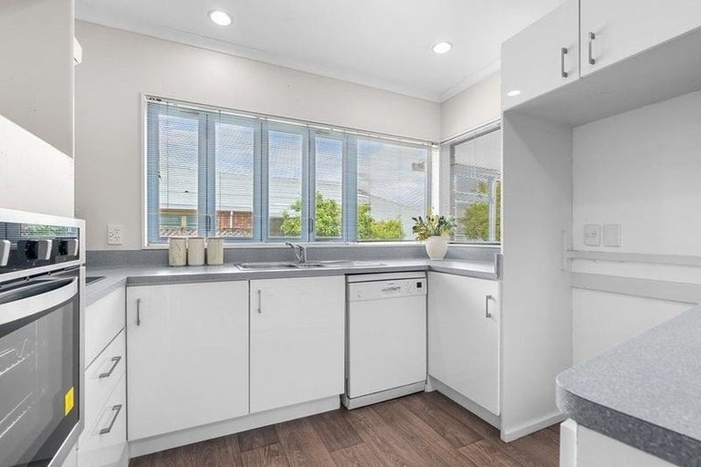 Photo of property in 167a Clarkin Road, Fairfield, Hamilton, 3214