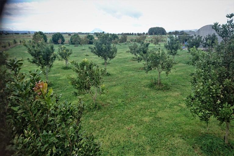 Photo of property in 324 Greig Road, Matata, Whakatane, 3194