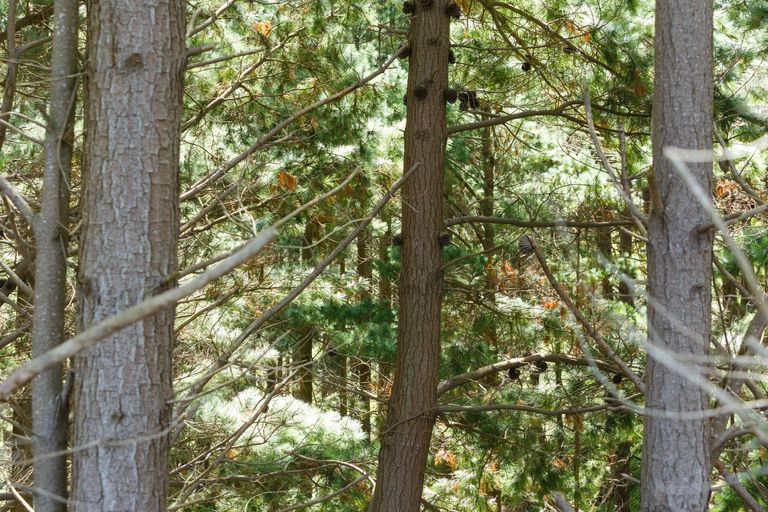 Photo of property in 57 Fitzherbert East Road, Aokautere, Palmerston North, 4471