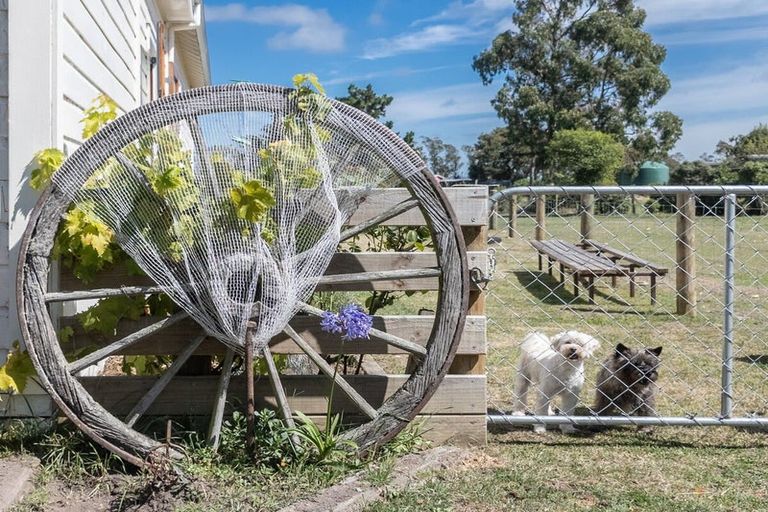 Photo of property in 50 Webb Road, Saint Andrews, Timaru, 7972