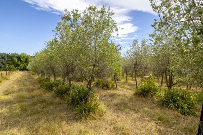 Photo of property in 83 Boundary Road, Upper Plain, Masterton, 5888