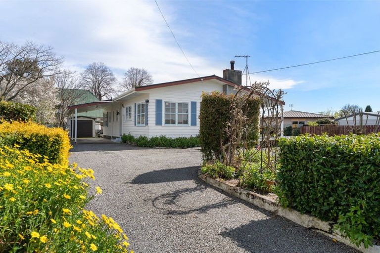 Photo of property in 16 Hogg Crescent, Masterton, 5810