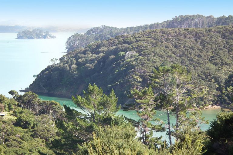 Photo of property in 31 Woods Ridge Road, Kawau Island, 0920