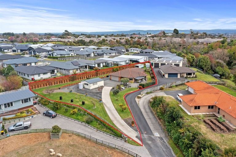 Photo of property in 87 Awaiti Place, Hairini, Tauranga, 3112