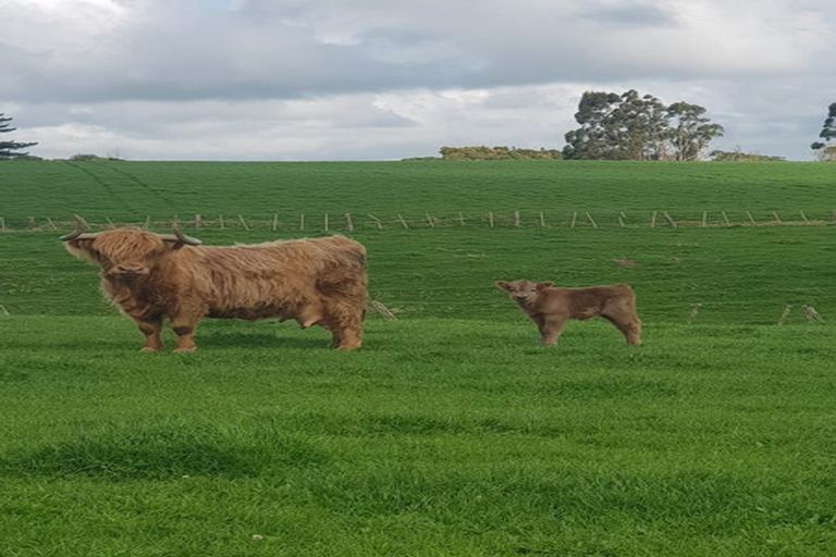 Photo of property in 139 Andrews Road, Onewhero, Tuakau, 2697