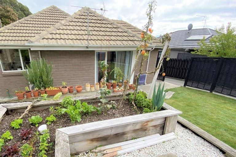 Photo of property in 37 Vernon Terrace, Hillsborough, Christchurch, 8022