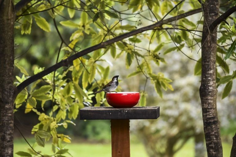 Photo of property in 1348a Pohangina Road, Pohangina, Ashhurst, 4884