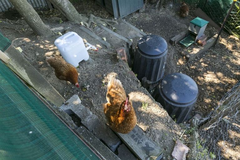 Photo of property in 26 Imperial Terrace, Melrose, Wellington, 6022