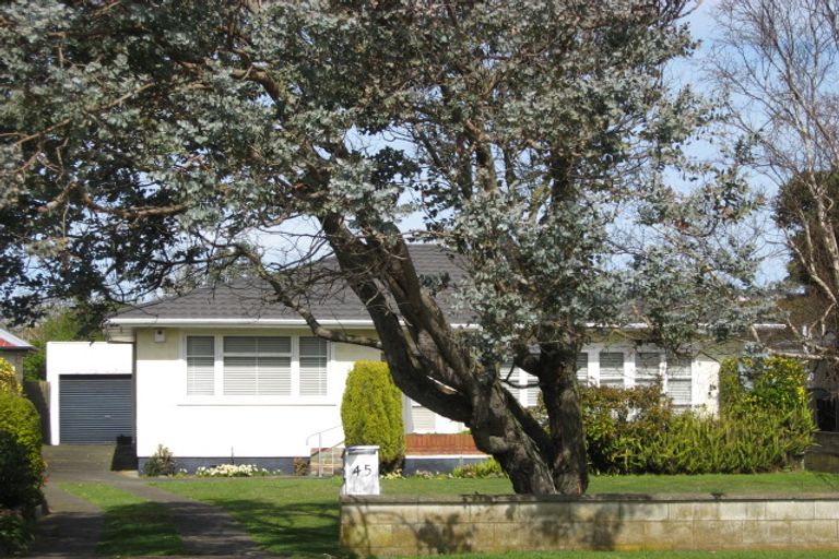 Photo of property in 45 Konini Street, Tawhero, Whanganui, 4501