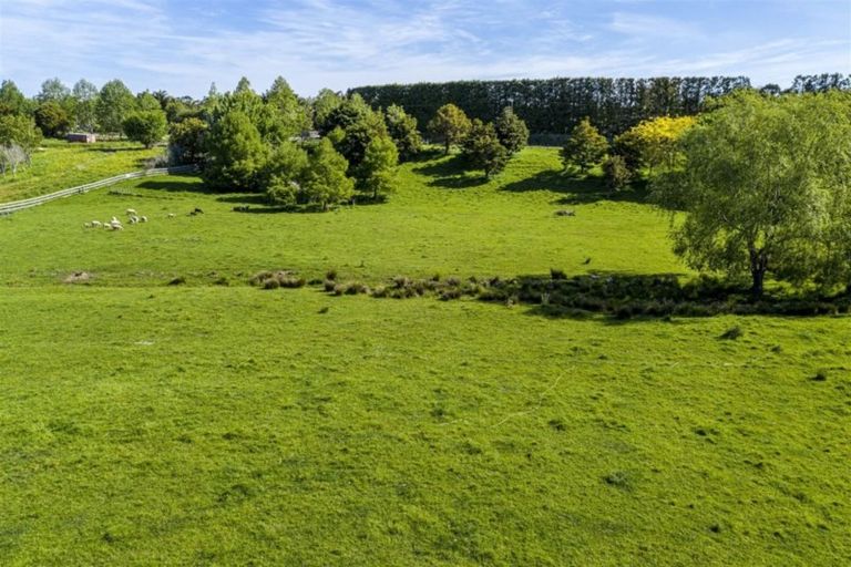 Photo of property in 45 Goldflats Lane, Coatesville, 0793