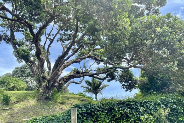 Photo of property in 419 Motutara Road, Muriwai, Waimauku, 0881