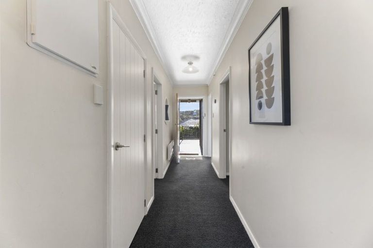 Photo of property in 23 Heath Street, Andersons Bay, Dunedin, 9013