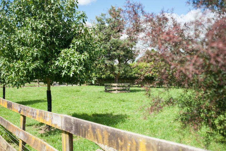 Photo of property in 44 Kakepuku Road, Pokuru, Te Awamutu, 3873