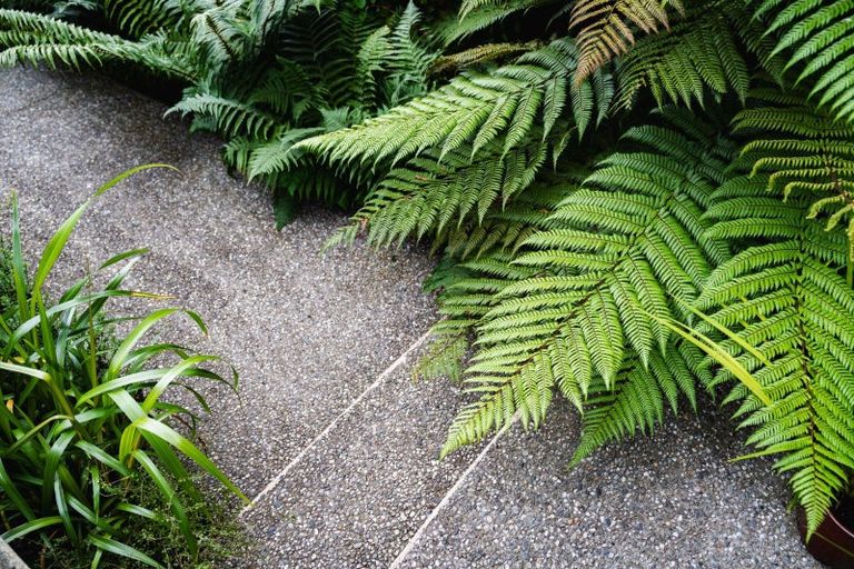 Photo of property in 61 Cannington Road, Maori Hill, Dunedin, 9010