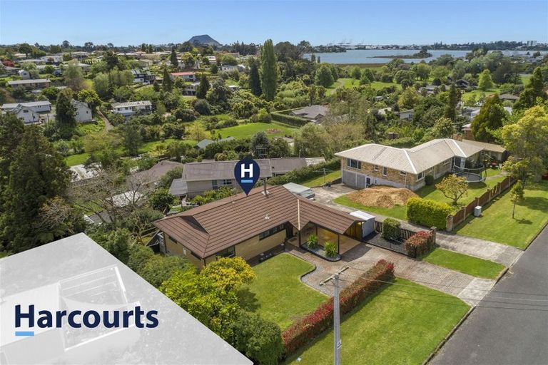 Photo of property in 73 Sutherland Road, Brookfield, Tauranga, 3110