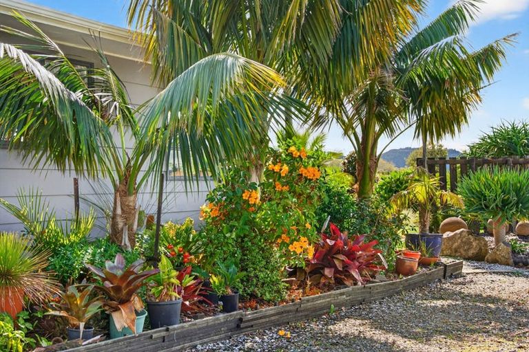 Photo of property in 252 Oneriri Road, Kaiwaka, 0573