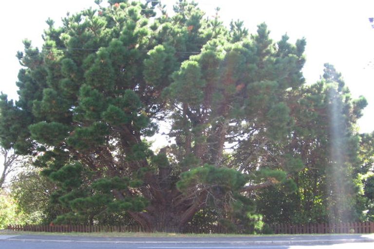 Photo of property in 1/67 Carlisle Road, Torbay, Auckland, 0630