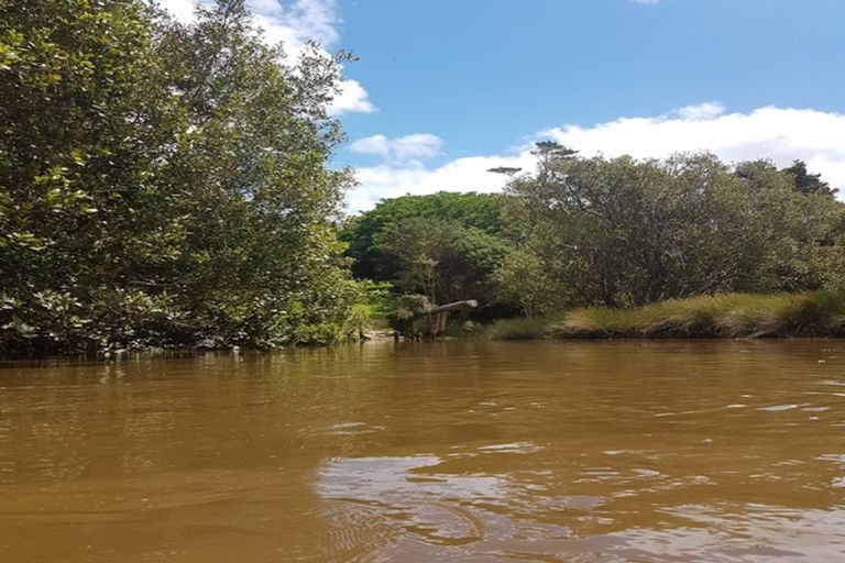 Photo of property in 65 Curtis Road, Rawene, Kaikohe, 0473