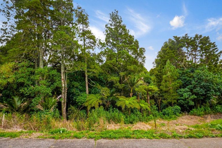 Photo of property in 6 Moore Street, Hillcrest, Auckland, 0627