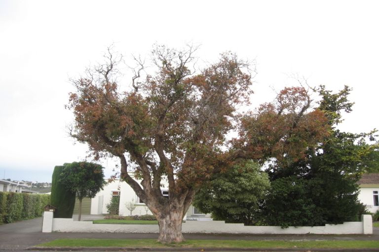 Photo of property in 5 Tom Parker Avenue, Marewa, Napier, 4110