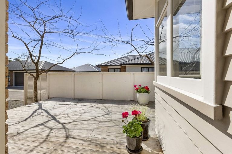 Photo of property in 124 Clarkin Road, Fairfield, Hamilton, 3214