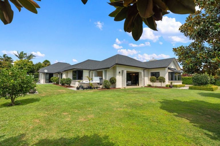 Photo of property in 129d Moffat Road, Bethlehem, Tauranga, 3110