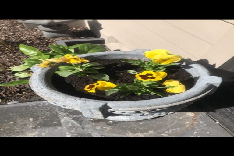 Photo of property in 216 Riccarton Road, Riccarton, Christchurch, 8041