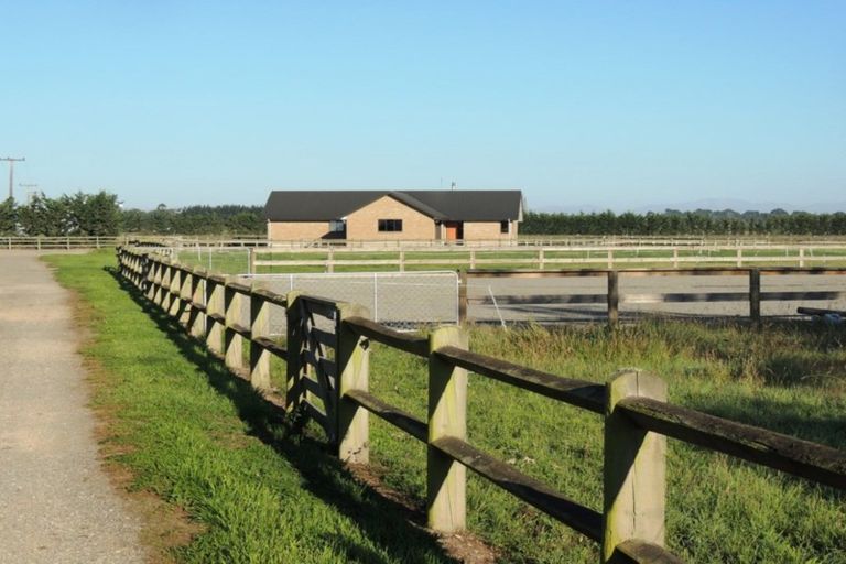 Photo of property in 535 Seadown Road, Seadown, Timaru, 7973