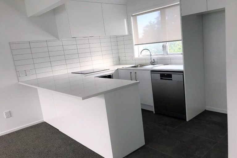 Photo of property in 8 George Street, Mount Eden, Auckland, 1024